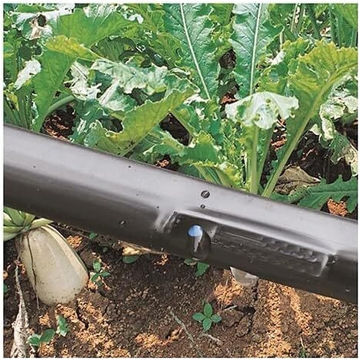 Druppelslang Irrigatie - Bewateringsslang - Planten Verzorgen - Weerbestendig Polyethyleen - 100 Meter - Groen