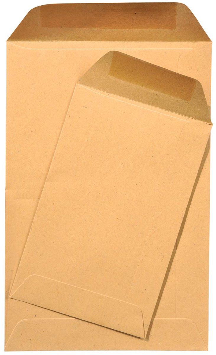 Gallery loonzakjes formaat 65 x 105 mm gegomd bruine kraft doos van 1000 stuks