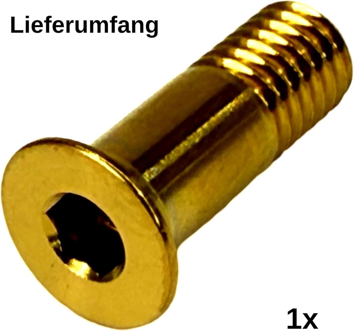 M5 x 15 mm fiets MTB / racefiets schakelsysteem schakelwielen Tuning Hollow SL schroef