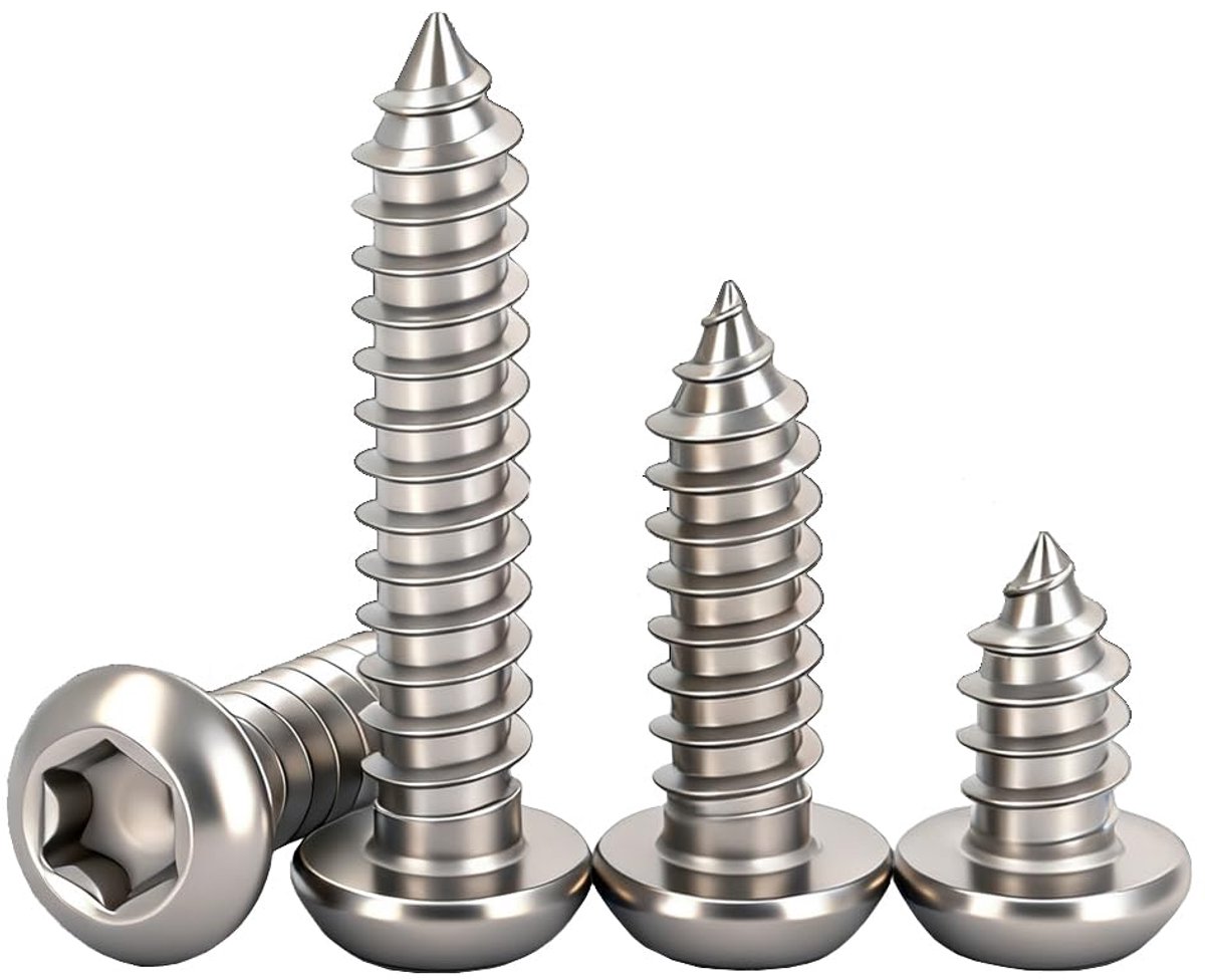 x 25 mm Torx ronde kop houtschroef 304 roestvrij staal zelftappende hoge sterkte schroeven voor hout / blik / gipsplaat volledige schroefdraad (60 stuks)