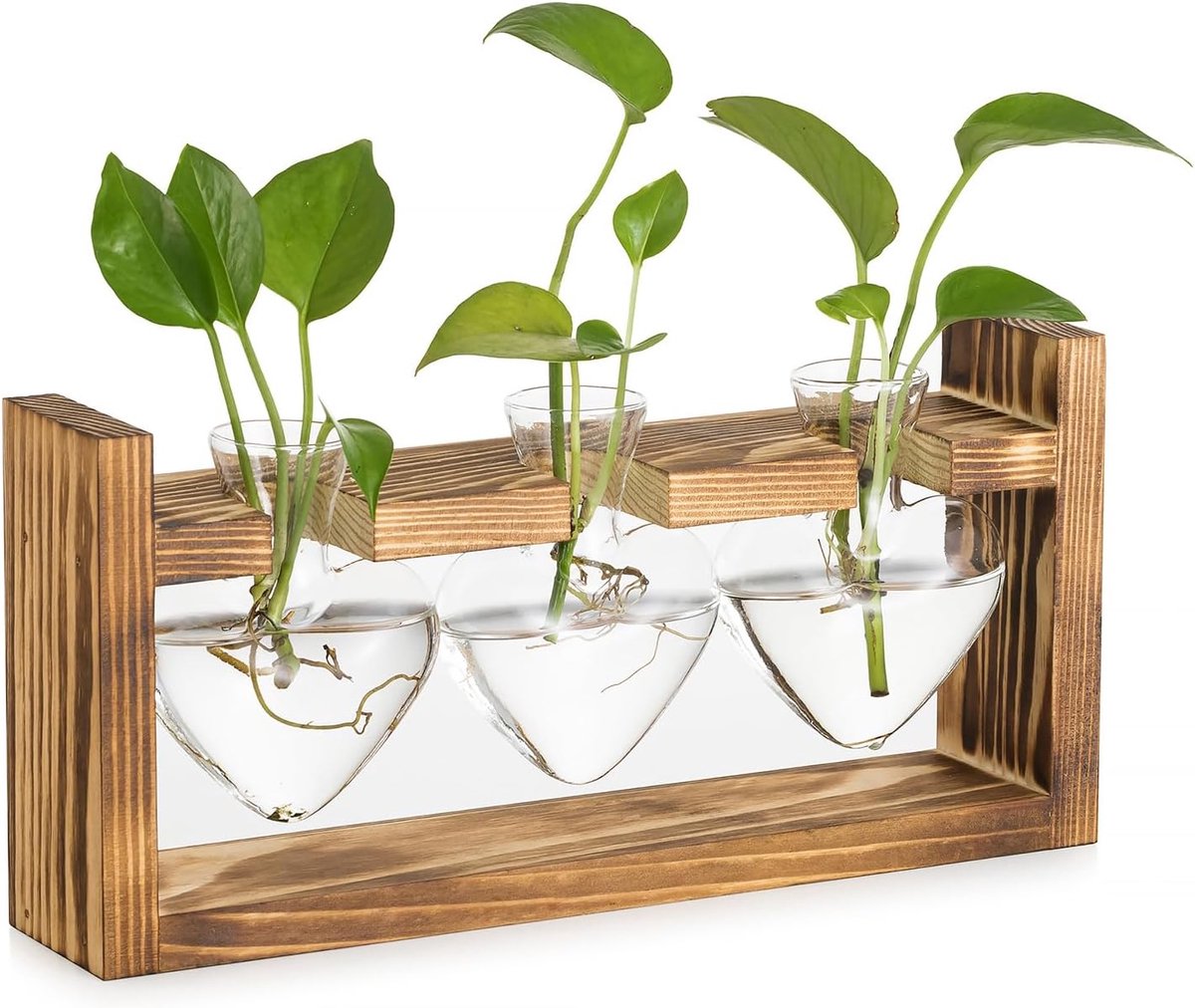 SnelShoppen - Glasseam Glazen Groei Station voor Planten - Hartvormige Bloemenvase met Houten Frame voor Binnen - 3 Bud Vazen voor Hydroponische Kruid
