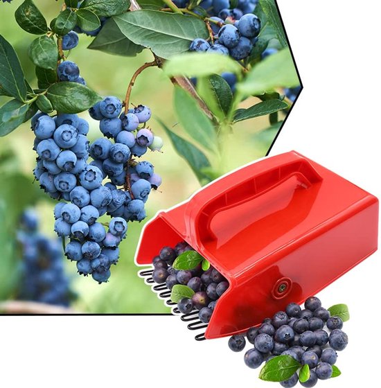 Bessenplukker - Blauwe bessenplukker - Fruitplukker - Met metalen kam en handvat - Gereedschap voor gemakkelijker bessen plukken - Geschikt voor het plukken van blauwe bessen en bosbessen - Rood van AVIWIS — afbeelding 3