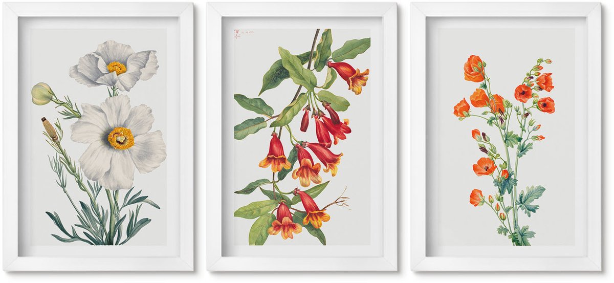 Wallfluent 3-Delige Schilderij Set - Bloemcomposities Retro Vintage Schilderij - 20 x 30 - Wanddecoratie - Schilderijen Set - Interieur - Decoratieve Schilderijen