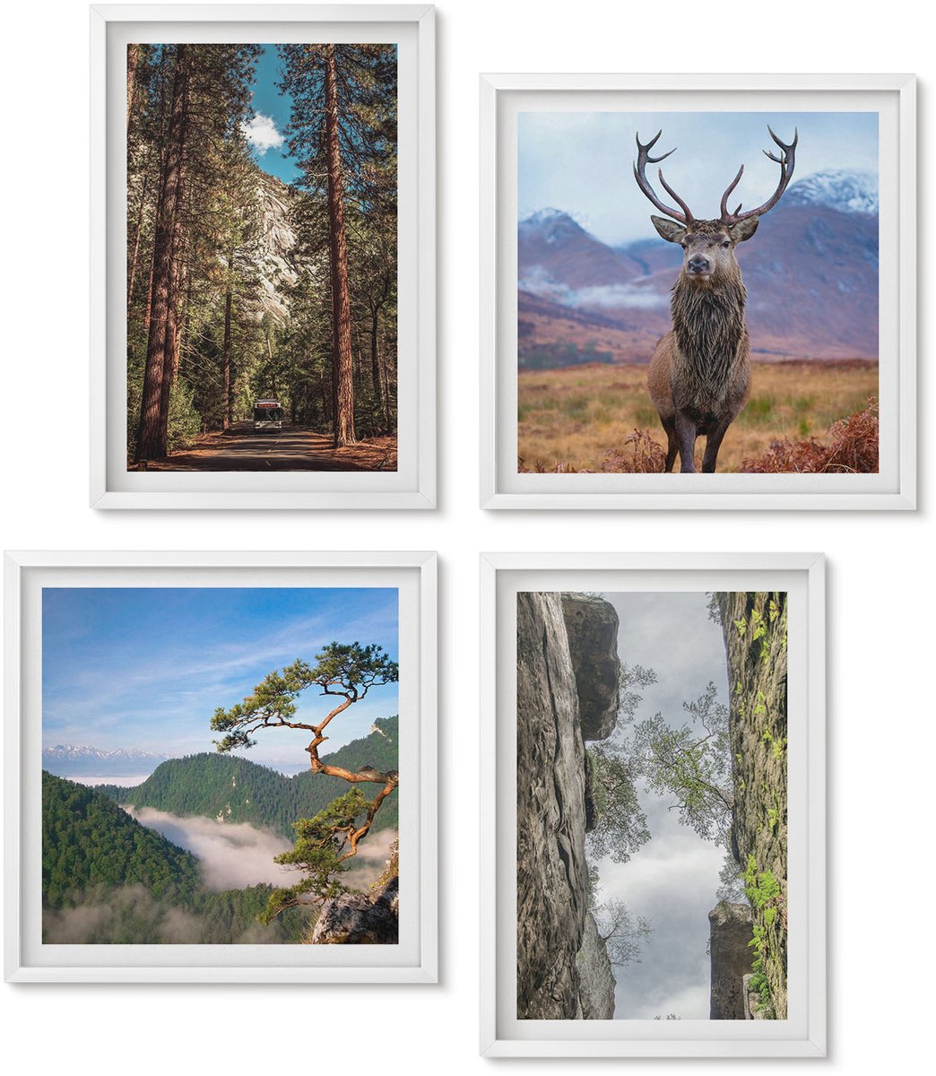 Wallfluent 4-Delige Schilderij Set - Weg Door Het Bos, Bergen En Herten In De Natuur. - 40 x 40 En 40 x 60 - Stijlvolle Wanddecoratie - Interieur - Woonkamer Decoratie