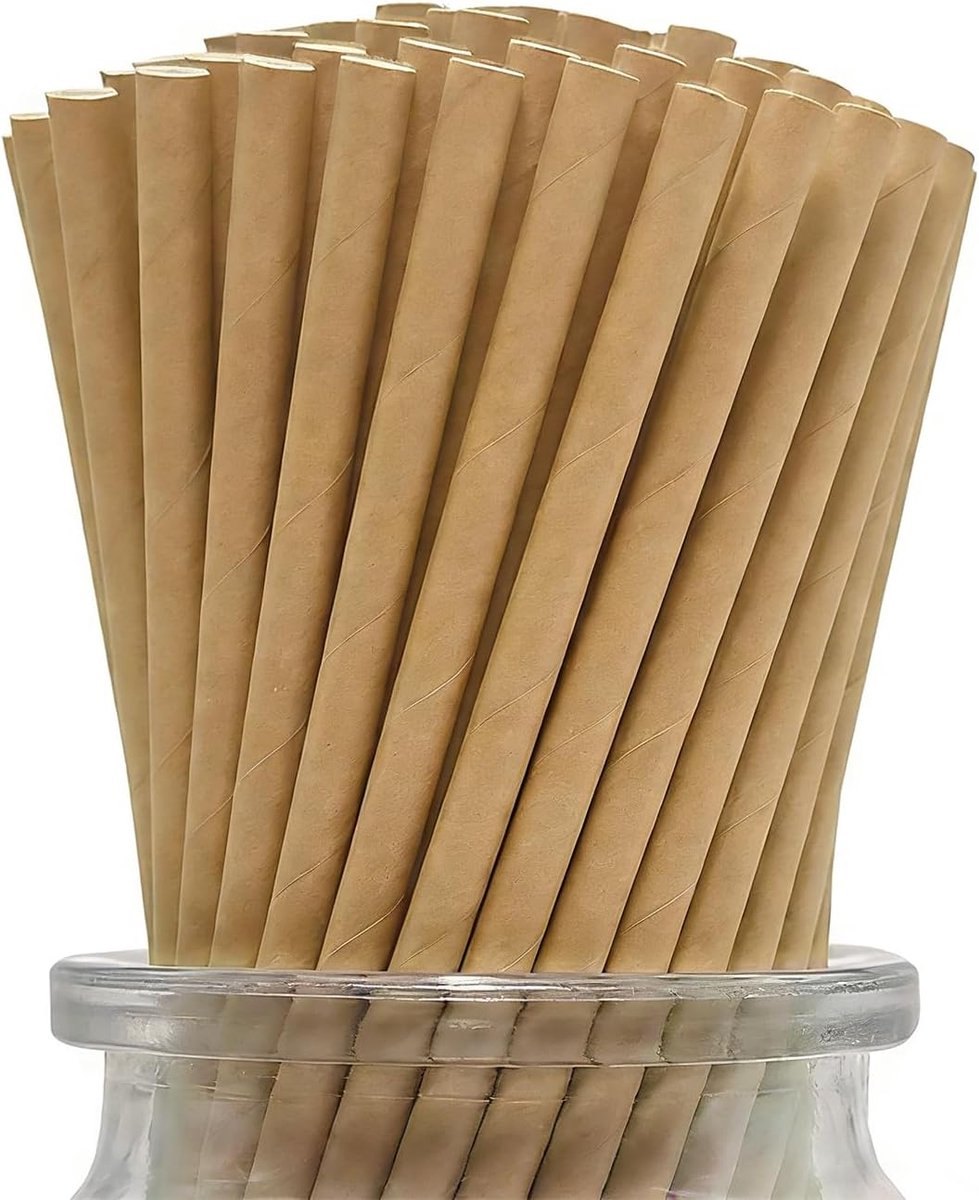 Papieren Rietjes 100 Stuks - Bruin - Biologisch Afbreekbaar - Perfect voor Feesten - ShopVlot