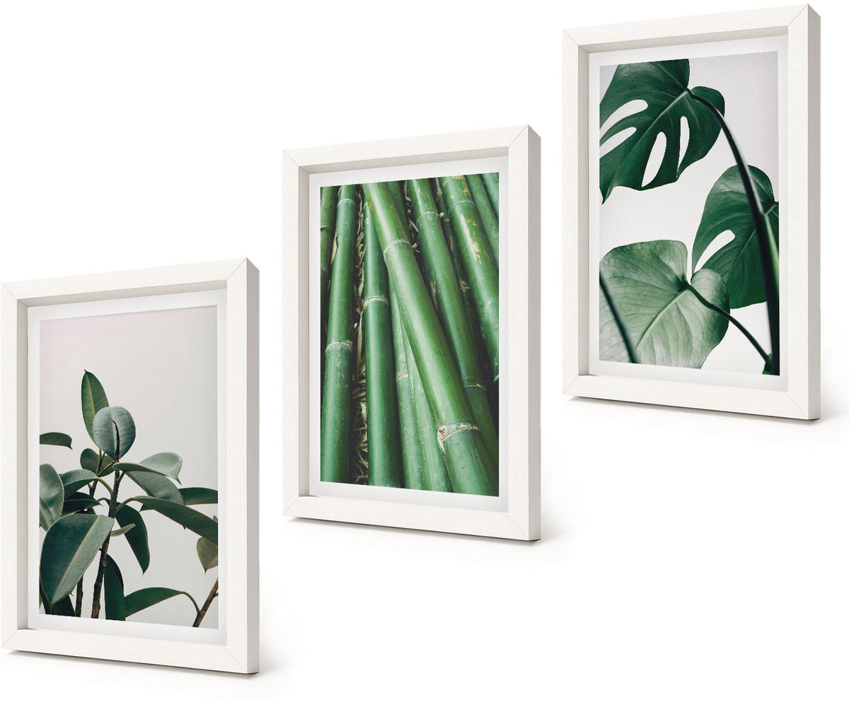 Coloray 3-Delige Schilderij Set - Bamboe stengels, kamerplanten en Monstera bladeren - 20x30 - Schilderijen Set - Wanddecoratie - Woonkamer - Decoratieve Schilderijen