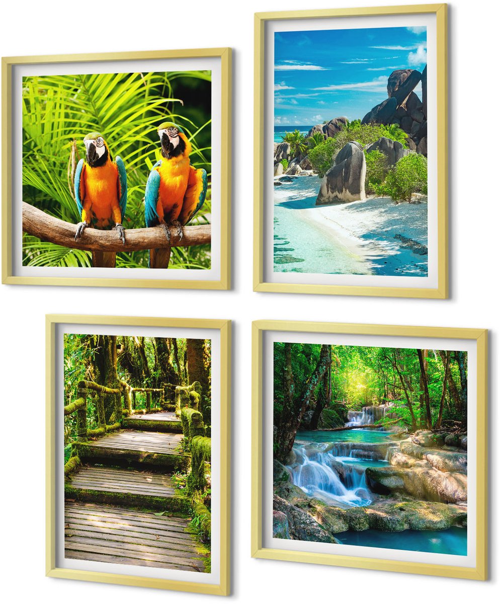 Coloray 4-Delige Schilderij Set - Tropisch bos met waterval en kleurrijke papegaaien - 40 x 40 cm en 40 x 60 cm - Wanddecoratie - Moderne Interieurdecoratie - Stijlvolle Muurdecoratie