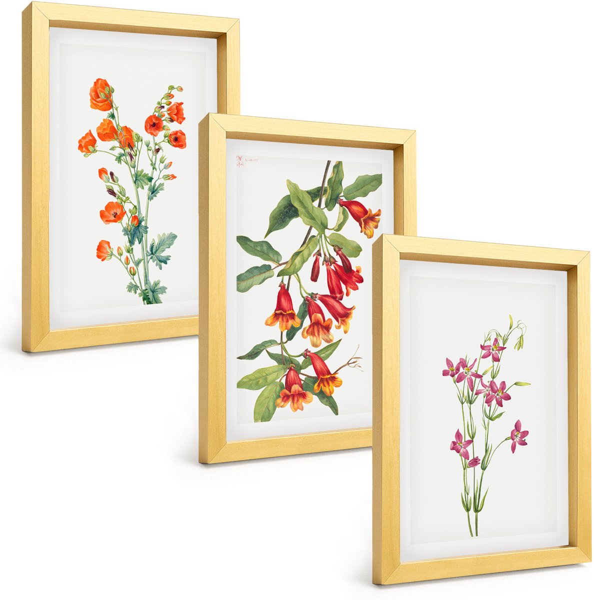 TULUP 4-Delige Schilderij Set - Vintage retro bloemenschilderij - 20 x 30 cm - Muurdecoratie - Wanddecoratie - Slaapkamer - Decoratieve Schilderijen Gouden lijst