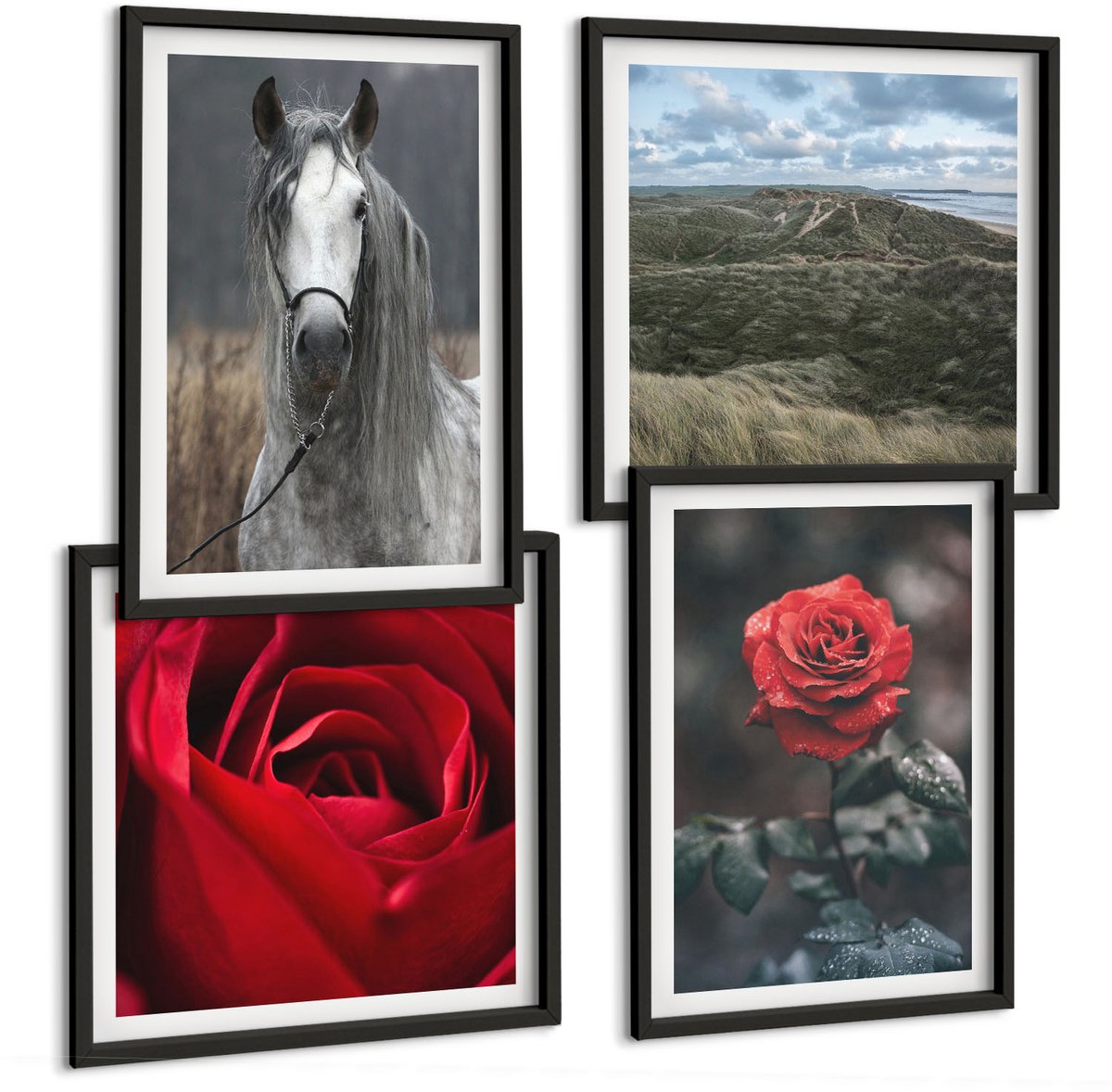 Tulup 4-Delige Schilderij Set - Rode rozen en een paard in een grijze omgeving - 40 x 40 cm en 40 x 60 cm - Schilderijen Set - Wanddecoratie - Woonkamer - Moderne Wanddecoratie