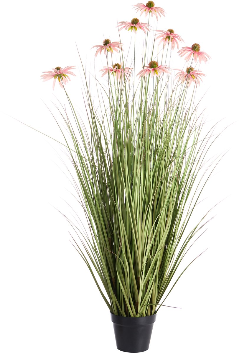 RUDBEKDARIUM - Kunstplant in pot - Zwart/Roze - Synthetisch materiaal
