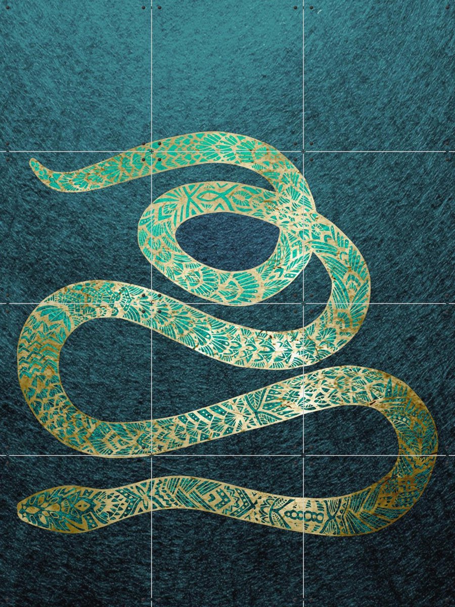 IXXI Bohemian Golden Snake, Bloomery Decor - 60 x 80 cm - Gratis ophangtool - Grote wanddecoratie en posters - Ornamenteel Ontwerp, Kleurrijk