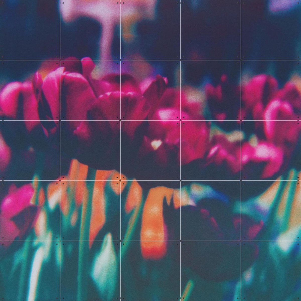 IXXI Finding Joy, Amber Lauder - 100 x 100 cm - Gratis ophangtool - Grote wanddecoratie en posters - Gemengde Technieken, Fotografie, Gang, Eetkamer