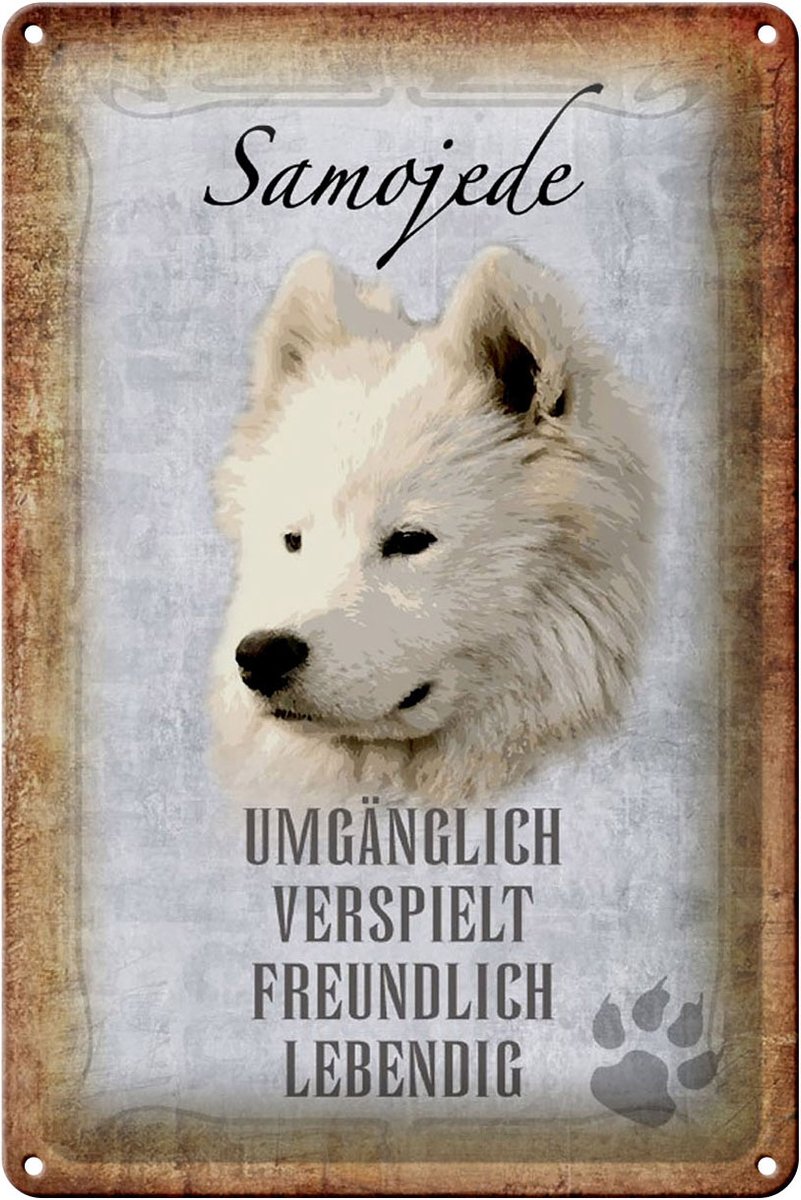 Blechschild Spruch 20x30cm Samojede Hund Schild
