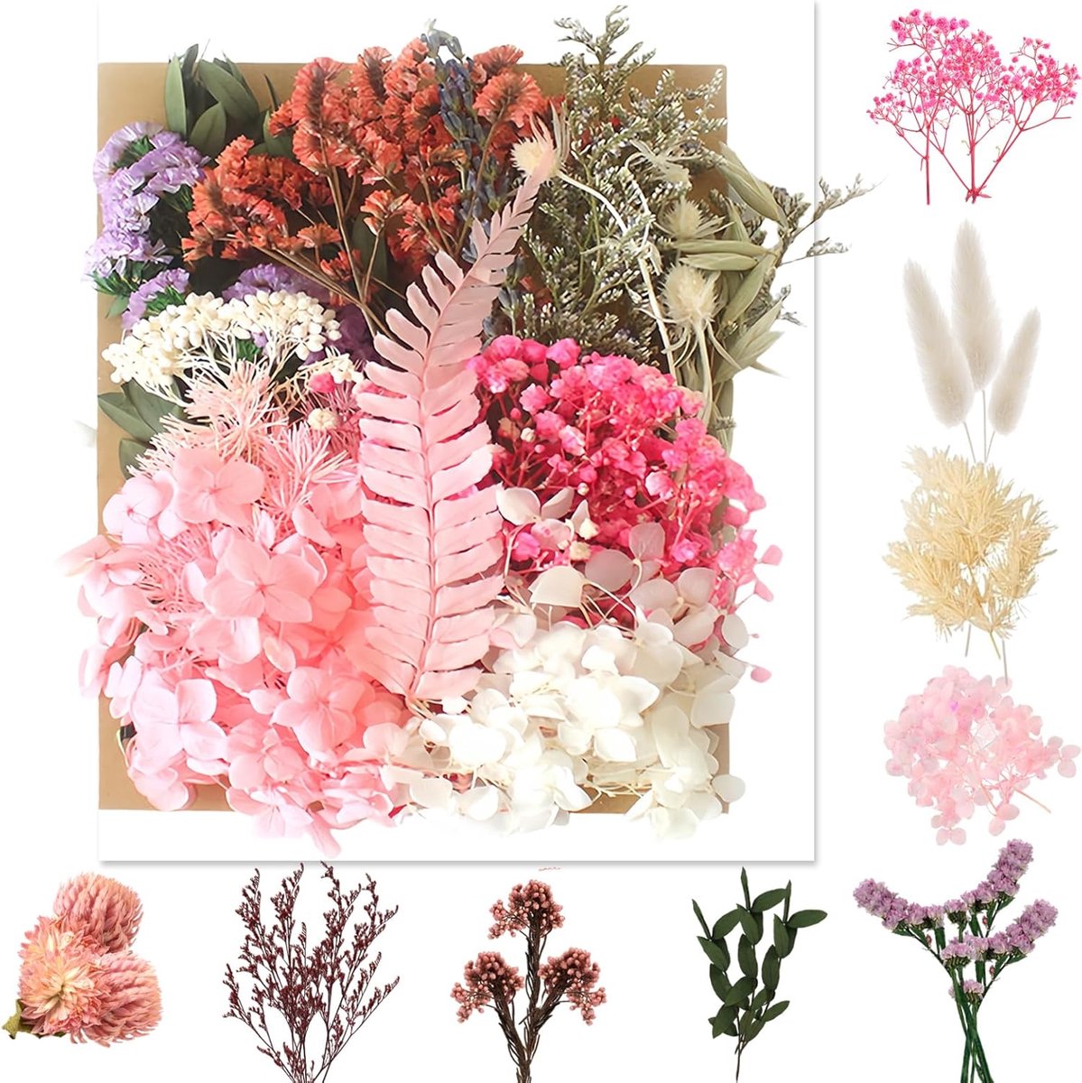 SnelShoppen - Natuurlijke Gedroogde Bloemen Armband - Uniek Accessoire - Handgemaakt - Perfect voor Feesten, Casual Gebruik en Cadeaus - Stijlvolle De