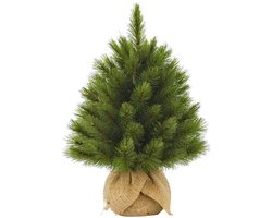 Triumph Tree Forest Frosted Kunstkerstboom H45 x D36 cm - Kunstboom in Jute Zak - Kunst Kerstboom voor Binnen - 61 Tips - Groen