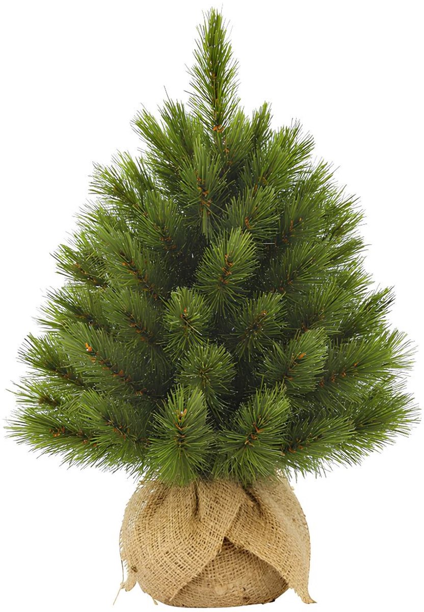 Bol.com Triumph Tree Forest Frosted Kunstkerstboom H45 x D36 cm - Kunstboom in Jute Zak - Kunst Kerstboom voor Binnen - 61 Tips ... aanbieding
