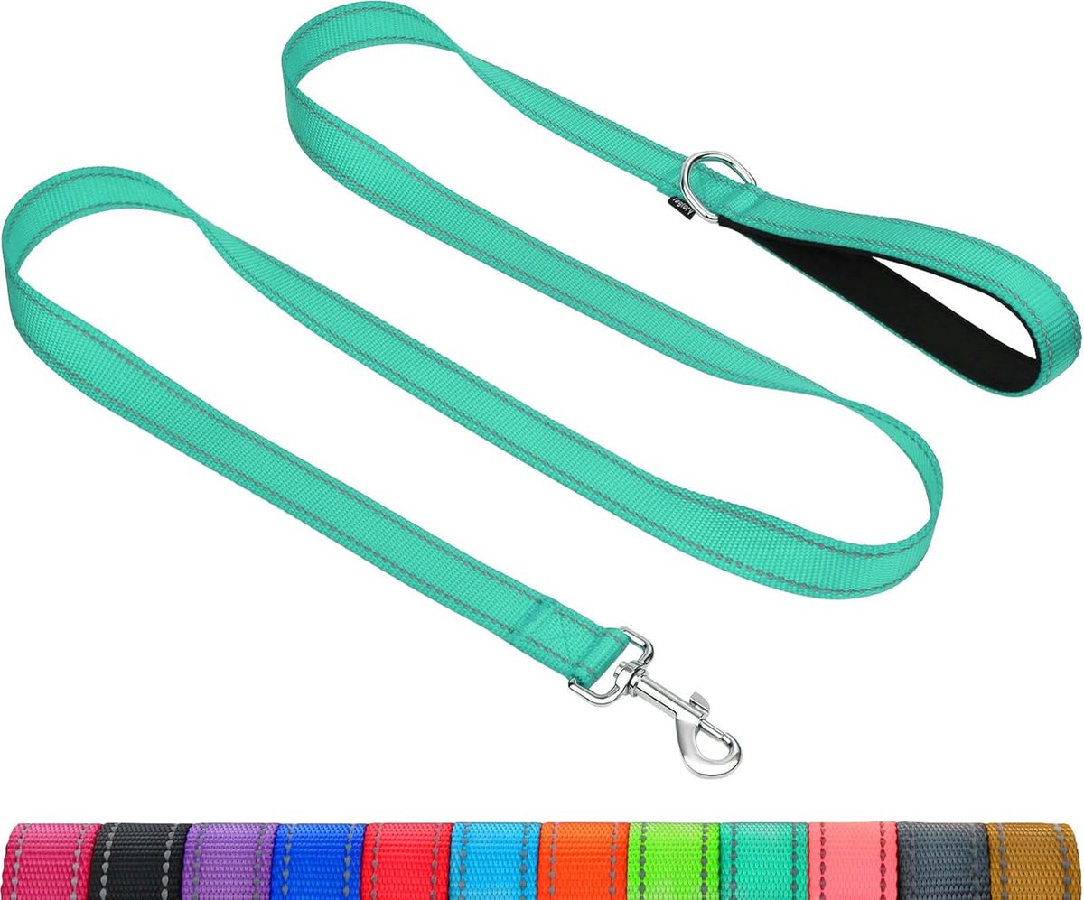 SnelShoppen - Hondenlijn voor Middelgrote en Grote Honden | Dubbelzijdig Reflecterend | Zachte Neopreen Gevoerde Handgreep | 2,5cm Breed en 120cm Lang