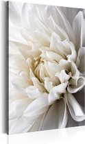 Schilderij - Witte Dahlia