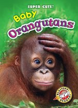 Super Cute! - Baby Orangutans