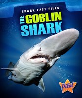 Shark Fact Files - The Goblin Shark