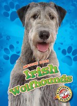 Awesome Dogs - Irish Wolfhounds