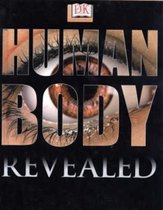 Human Body