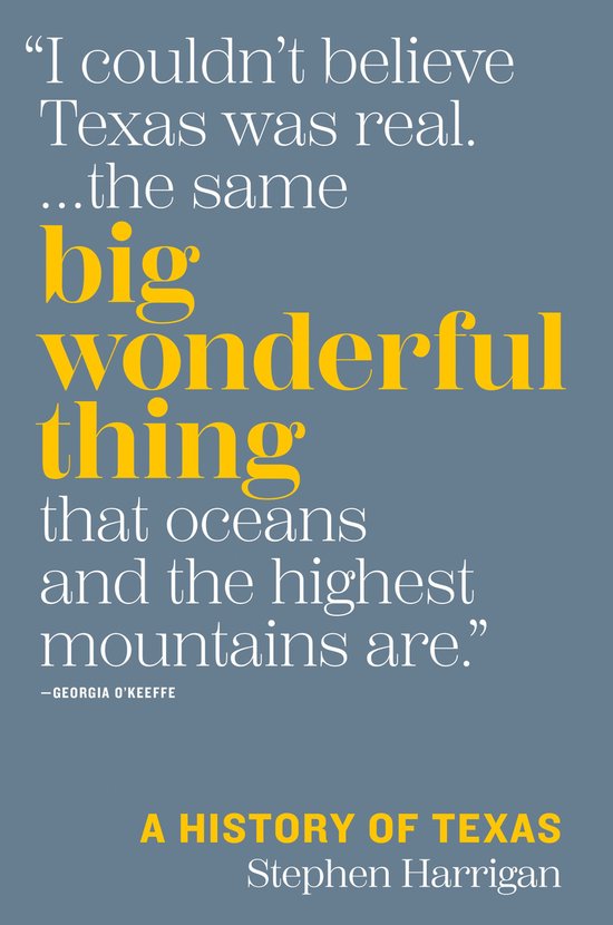 The Texas Bookshelf - Big Wonderful Thing - cover