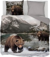 Snoozing Bear - Dekbedovertrek - Lits-jumeaux - 260x200/220 cm + 2 kussenslopen 60x70 cm - Grijs