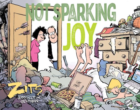 Zits - Not Sparking Joy - cover