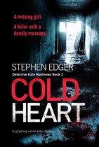 Detective Kate Matthews 3 - Cold Heart