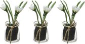 3x Witte Crocus/krokusjes kunstplanten 15 cm in glazen pot - Kunstplanten/nepplanten -  Pasen/voorjaar versiering/decoratie