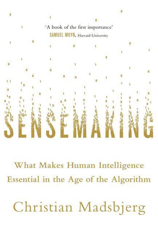 Sensemaking - cover