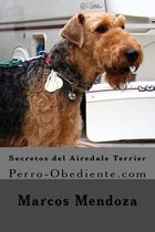 Secretos del Airedale Terrier