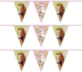 3x Paarden feest vlaggenlijnen 6 meter  - Kinderfeest versiering slinger met vlaggetjes 3 stuks