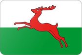 Vlag gemeente Smallingerland - 150 x 225 cm - Polyester