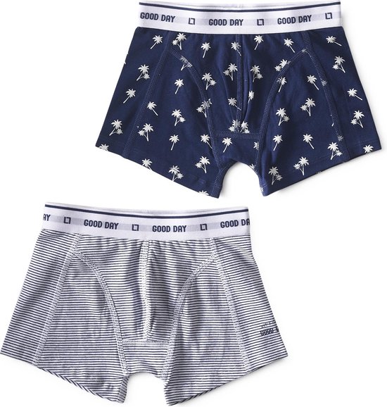 Little Label - boxershorts 2-pack - palm blue & mini stripe blue 6Y - maat: 110/116 - bio-katoen