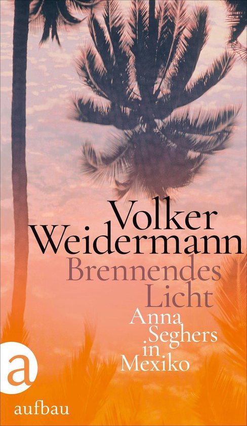 Brennendes Licht - cover