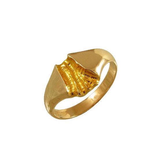 Rivier van goud, Gouden ring 18.5mm