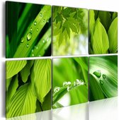 Schilderij - Groene Bladeren, Groen, 6luik , premium print op canvas