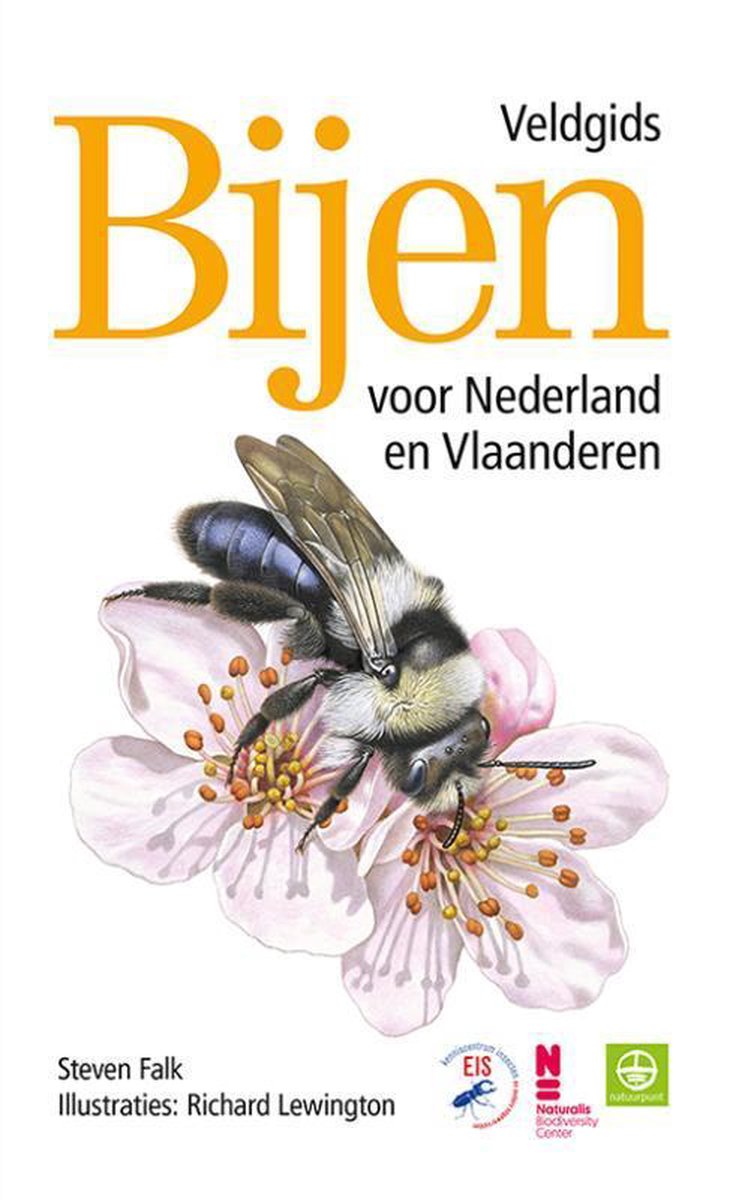 Veldgids Bijen voor Nederland en Vlaanderen - Falk, Steven
