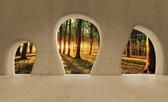 Forest Woodland View Modern Photo Wallcovering