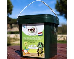 BIOTABS SILICIUM FLASH 1250 ML