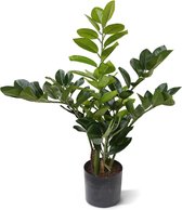 Zamioculcas kunstplant 55 cm