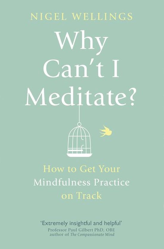 Why Can't I Meditate? - cover