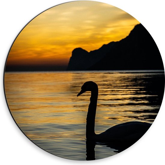 Dibond Wandcirkel - Silhouet Zwaan ter Water - 30x30cm Foto op Aluminium Wandcirkel (met ophangsysteem)