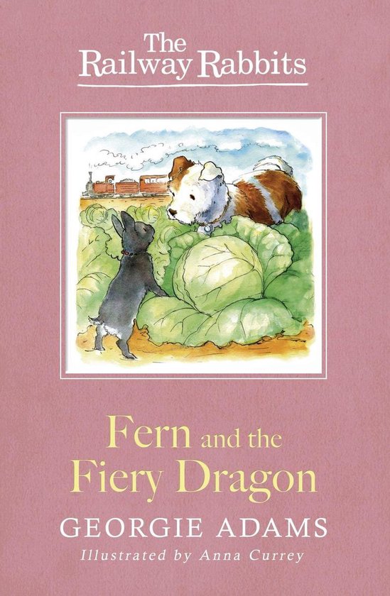 Railwaway Rabbit Railway Rabbits 7 - Fern and the Fiery Dragon (ebook), Georgie Adams ...