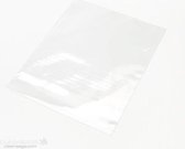 Plastiek Zakken 20,3x25,4cm LDPE 100 Micron (100 stuks) | Plastic zak
