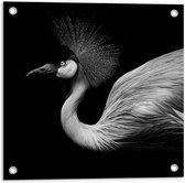 Tuinposter – Zwart Wit Foto van Kraan Vogel - 50x50cm Foto op Tuinposter  (wanddecoratie voor buiten en binnen)