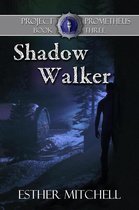 Shadow Walker