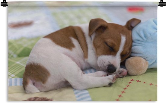 Tapisserie Bebe Animaux Endormis Chiot Jack Russel Sur Couverture Tapisserie Coton Bol Com